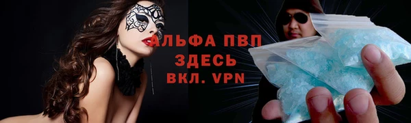 PSILOCYBIN Магадан
