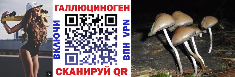 Купить  Петрозаводск  Псилоцибиновые грибы Psilocybine cubensis 